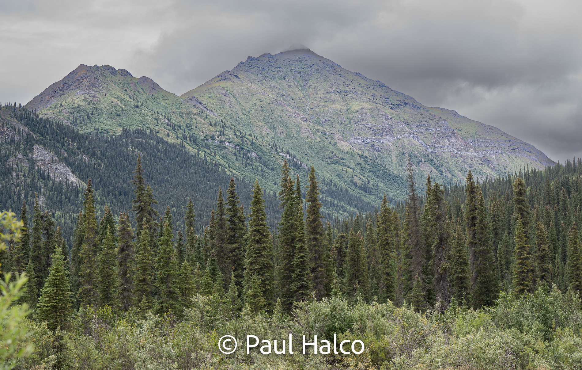 Paul Halco - Gates of the Arctic NP-19